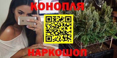 ГАЛЛЮЦИНОГЕННЫЕ ГРИБЫ Камышлов