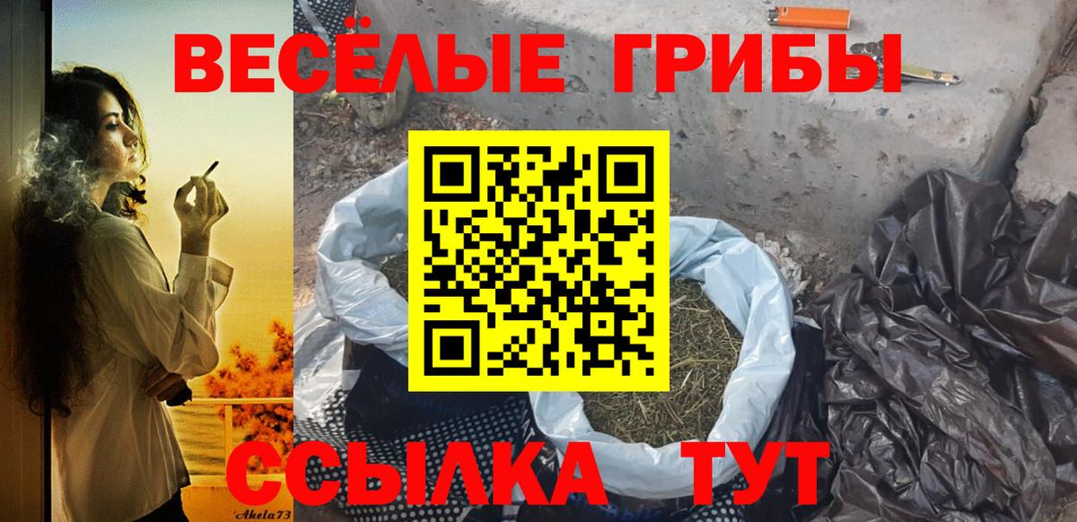 Галлюциногенные грибы Cubensis Валуйки
